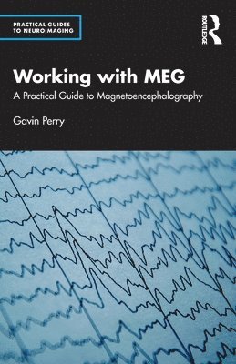 Working with MEG 1