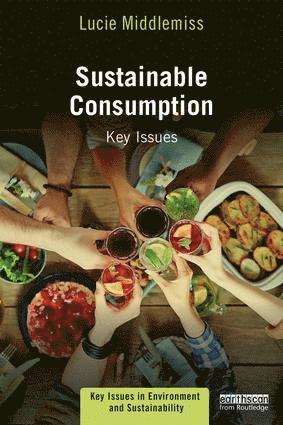 bokomslag Sustainable Consumption