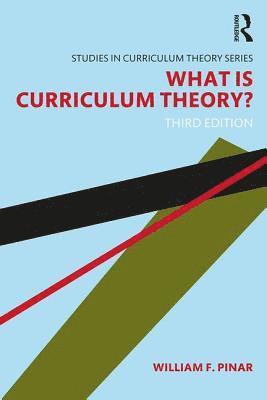 bokomslag What Is Curriculum Theory?