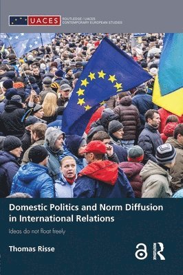 bokomslag Domestic Politics and Norm Diffusion in International Relations