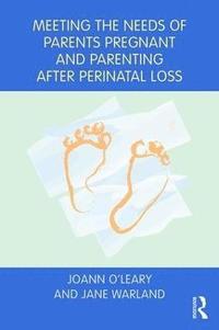 bokomslag Meeting the Needs of Parents Pregnant and Parenting After Perinatal Loss