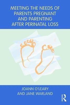 bokomslag Meeting the Needs of Parents Pregnant and Parenting After Perinatal Loss