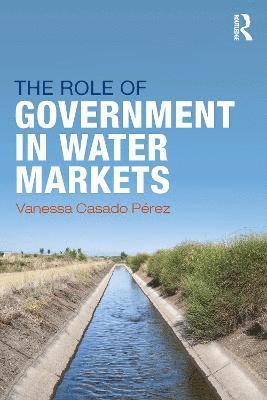 bokomslag Role of Government in Water Markets