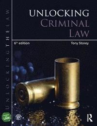 bokomslag Unlocking Criminal Law