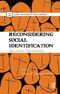 bokomslag Reconsidering Social Identification