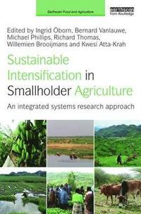 bokomslag Sustainable Intensification in Smallholder Agriculture