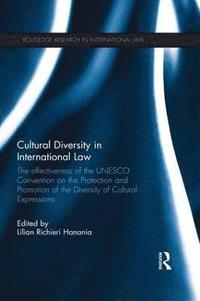 bokomslag Cultural Diversity in International Law