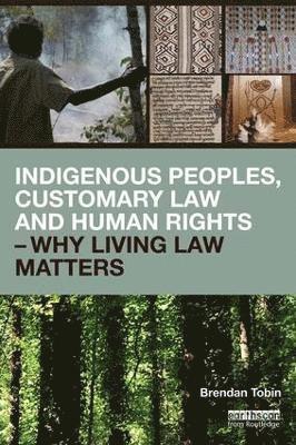 bokomslag Indigenous Peoples, Customary Law and Human Rights - Why Living Law Matters
