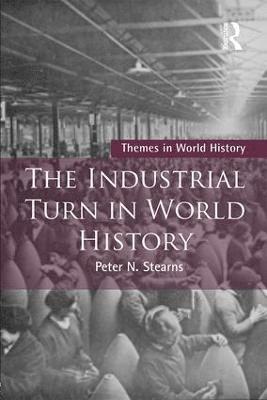 bokomslag Industrial Turn in World History