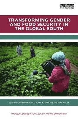 bokomslag Transforming Gender and Food Security in the Global South