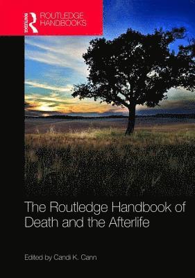 bokomslag The Routledge Handbook of Death and the Afterlife