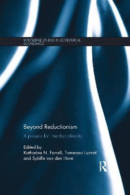 bokomslag Beyond Reductionism