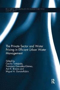 bokomslag The Private Sector and Water Pricing in Efficient Urban Water Management
