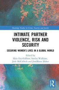 bokomslag Intimate Partner Violence, Risk and Security