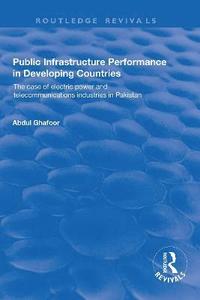 bokomslag Public Infrastructure Performance in Developing Countries