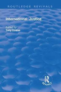bokomslag International Justice