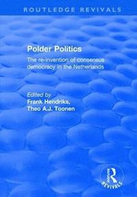 bokomslag Polder Politics