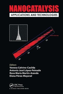 Vanesa Calvino-Casilda, Antonio José López-Peinado, Rosa María Martín-Aranda, Elena Pérez Mayoral - Nanocatalysis, Inbunden
