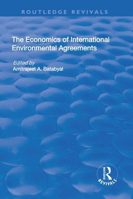 bokomslag Economics of International Environmental Agreements