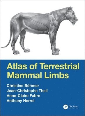 bokomslag Atlas of Terrestrial Mammal Limbs