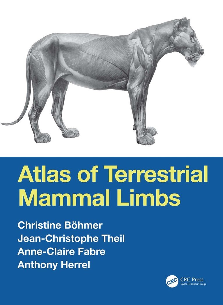 Atlas of Terrestrial Mammal Limbs 1