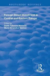 bokomslag Foreign Direct Investment in Central and Eastern Europe