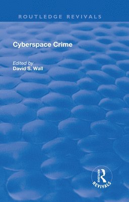 Cyberspace Crime 1