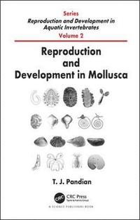 bokomslag Reproduction and Development in Mollusca