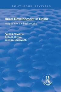 bokomslag Rural Development in China