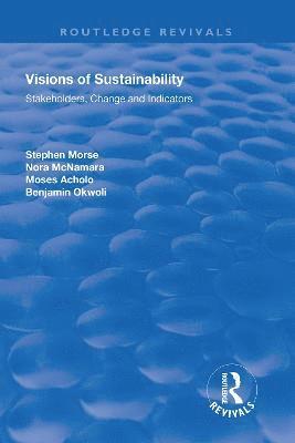 bokomslag Visions of Sustainability
