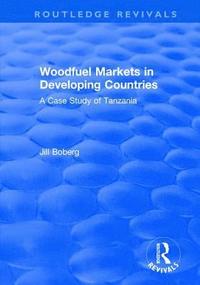 bokomslag Woodfuel Markets in Developing Countries: A Case Study of Tanzania