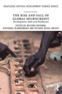 bokomslag The Rise and Fall of Global Microcredit