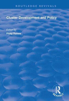 bokomslag Cluster Development and Policy