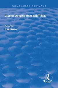 bokomslag Cluster Development and Policy