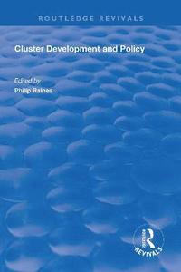 bokomslag Cluster Development and Policy