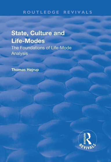 Thomas Højrup - State, Culture and Life-Modes, Häftad