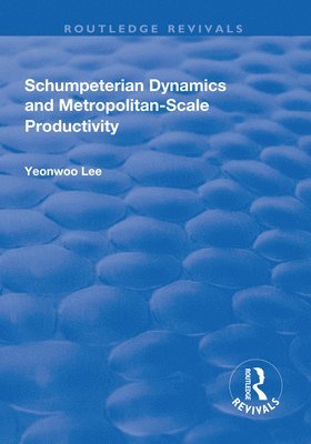 Schumpeterian Dynamics and Metropolitan-Scale Productivity 1