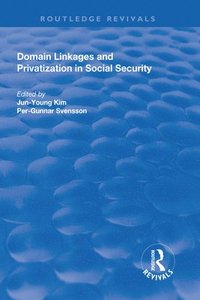 bokomslag Domain Linkages and Privatization in Social Security