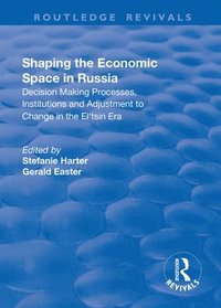 bokomslag Shaping the Economic Space in Russia