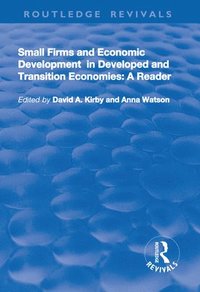 bokomslag Small Firms and Economic Development in Developed and Transition Economies