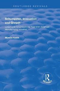 bokomslag Schumpeter, Innovation and Growth