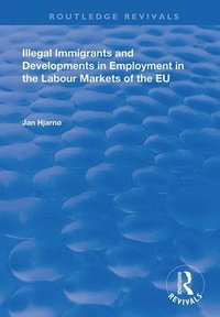 bokomslag Illegal Immigrants and Developments in Employment in the Labour Markets of the EU