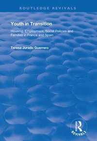 bokomslag Youth in Transition
