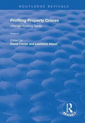 bokomslag Profiling Property Crimes