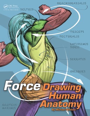 FORCE: Drawing Human Anatomy 1