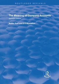 bokomslag The Meaning of Company Accounts