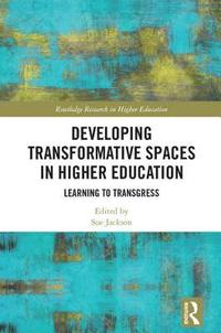 bokomslag Developing Transformative Spaces in Higher Education