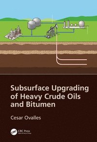 bokomslag Subsurface Upgrading of Heavy Crude Oils and Bitumen