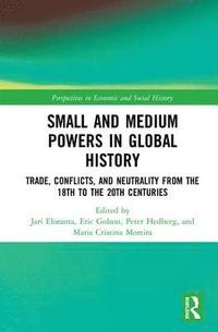 bokomslag Small and Medium Powers in Global History