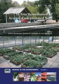 bokomslag In-Situ Remediation of Arsenic-Contaminated Sites